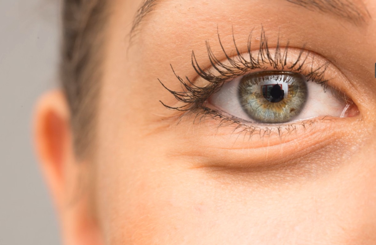 キレイな目 – Close-up of a woman’s brown eye and eyelashes – fumumu