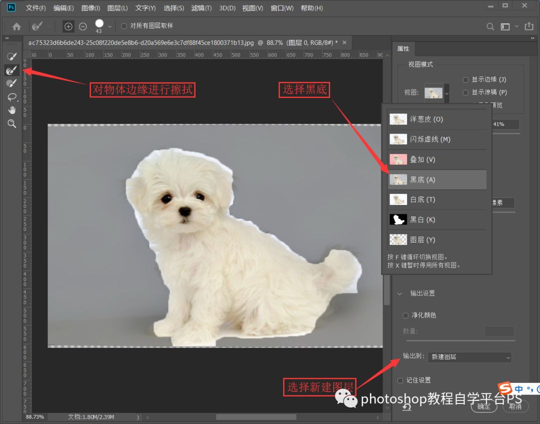 【视频教程】PhotoShop_CS6图像处理案例视频教程&素材&PS_CS6软件【650MB】 | 初音社